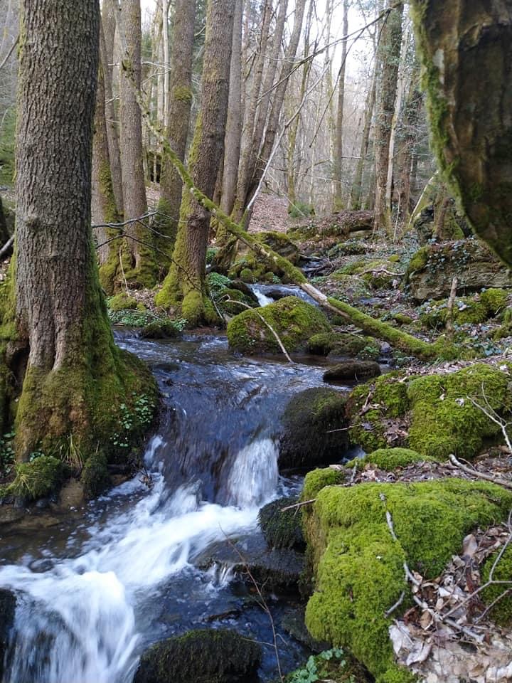 Afgelopen!!! Ardennen Wandelmidweek 17-21 juni 2024