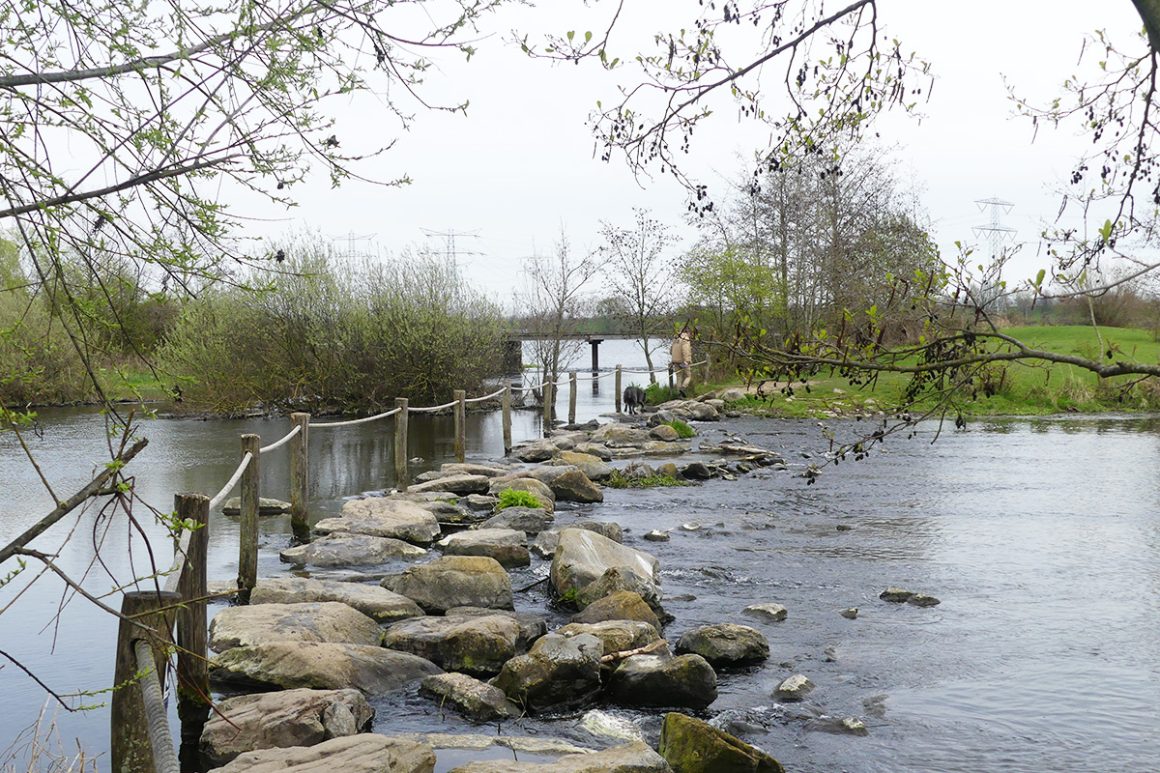 Winterwandeling met meditatief bosbad