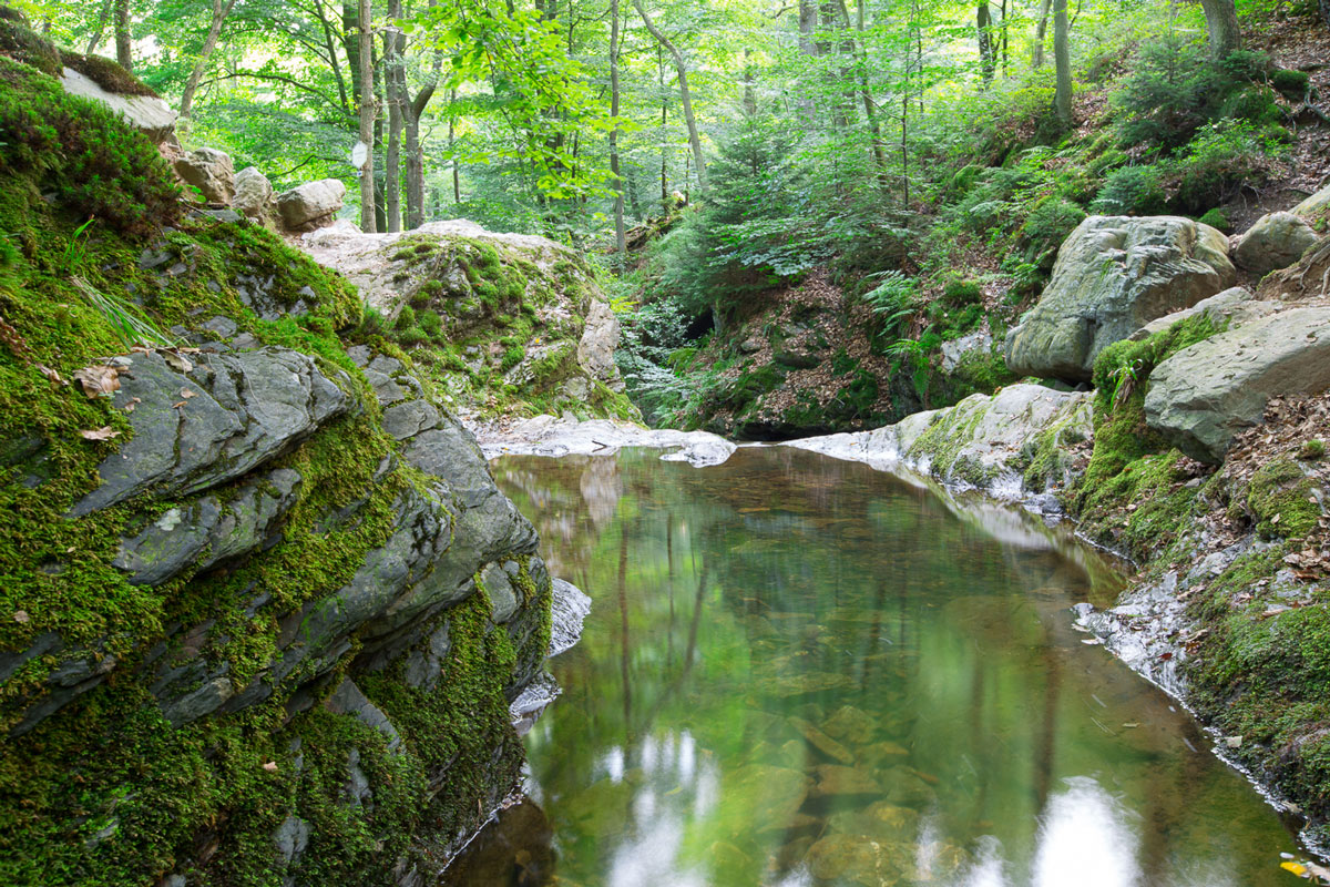 Afgelopen!!!2 daagse Wandelreis Ardennen 26-27 april, 98 euro pp incl overnachting, ontbijt en lunch